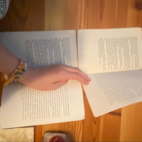 The bronze bow - Picture 2 of 8